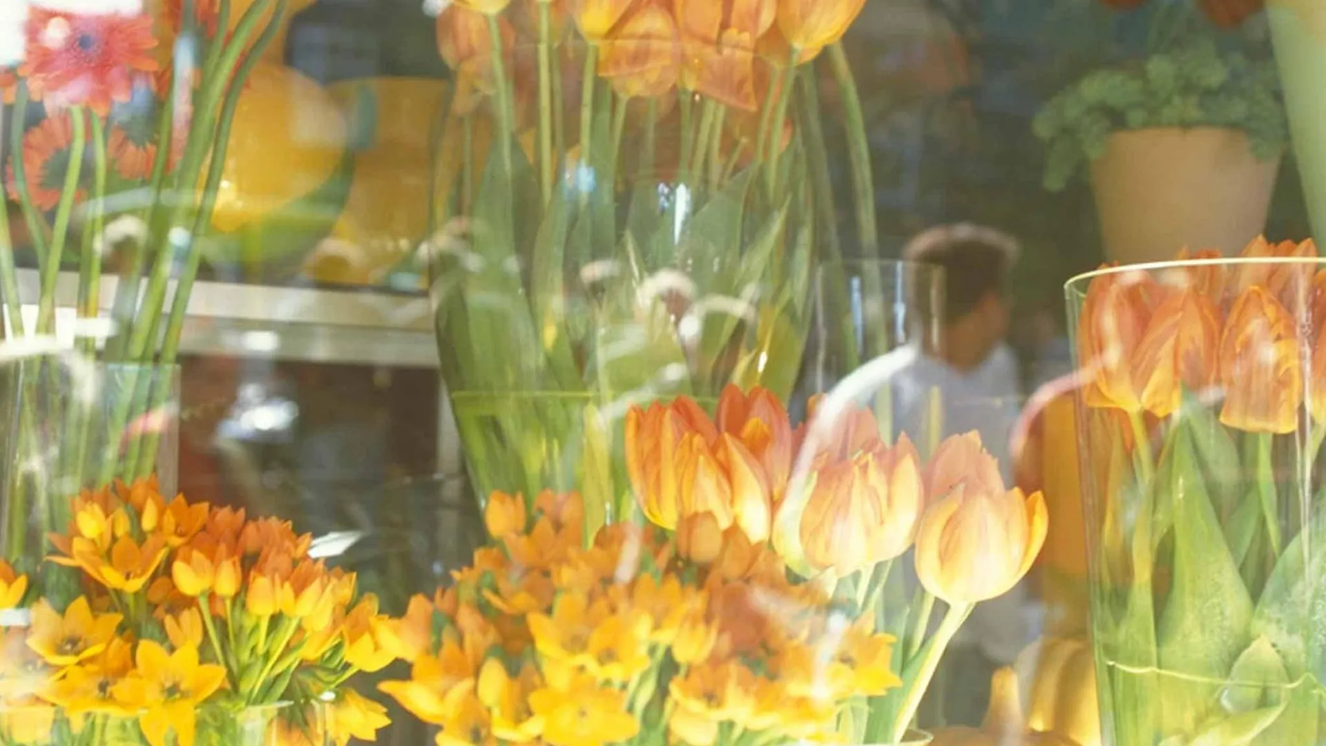 Mercure Hotel Amsterdam West 4*,  Niederlande